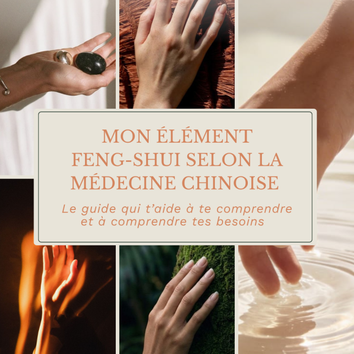_Mon élément Feng-shui selon la médecine chinoise [Ebook]