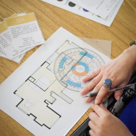 Prescillia_FengShui_mars2024-1-1